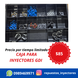 CAJA DE INSUMOS PARA INYECTORES GDI